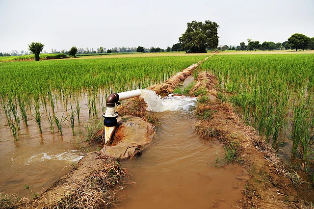 In some villages, when farmers get free electricity, they pump continuously without rationing their consumption. (Photo: iStock)