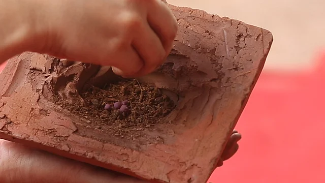 The final step- adding the seeds. (Photo: The Quint)
