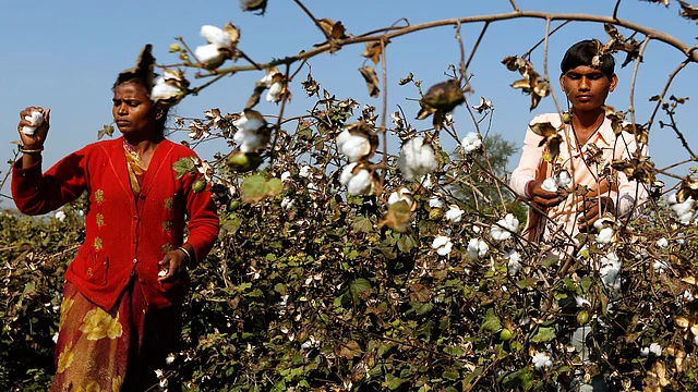 If India can spend $10 billion annually on imports of electronic items like smartphones, surely it can afford to pay for critical farm technologies. (Photo: Reuters)