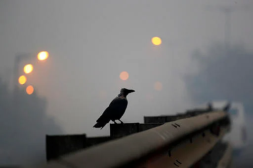 File photo of pollution in New Delhi, after Diwali. (AP Photo/Manish Swarup)