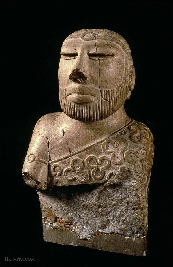 The Harappan culture is a shared heritage for both India and Pakistan. (Photo Courtesy: Facebook/<a href="https://www.facebook.com/AncientIndus/">@AncientIndus</a>)