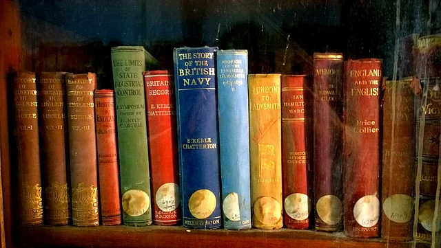 Bhawani Singh Library, Jhalawar. (Photo Courtesy: Sudha Ganapathi)