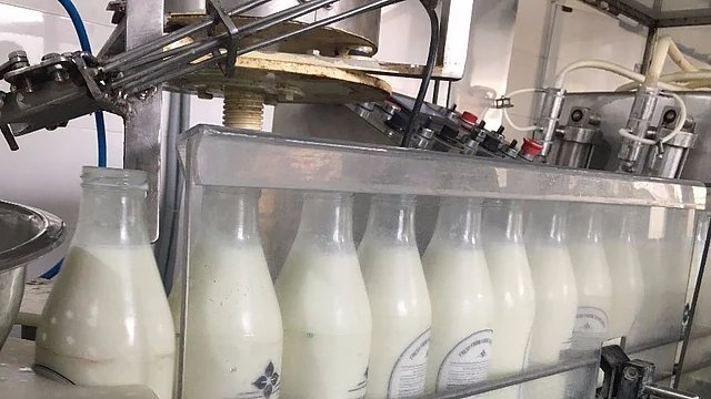 Drinking unadulterated milk has a wide range of health benefits. (Photo: Shiv Kumar Maurya/<b>The Quint</b>)