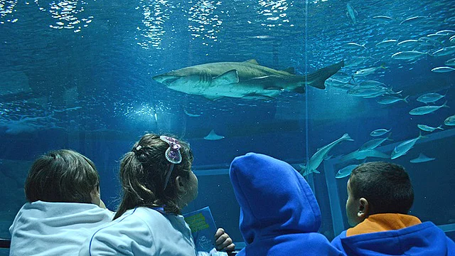 (Photo courtesy: Ocean Conference/UN)