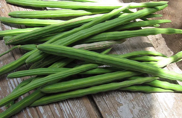 Moringa provides an easy way to meet your daily nutrient requirements without having to eat a full-fledged meal.