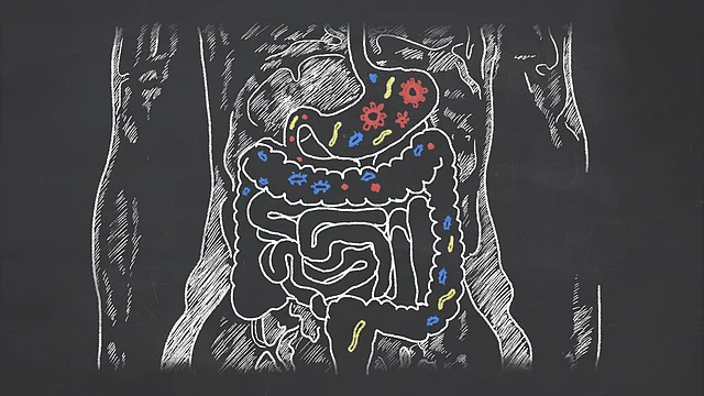 Our gut is quite rightly called the ‘second brain’!