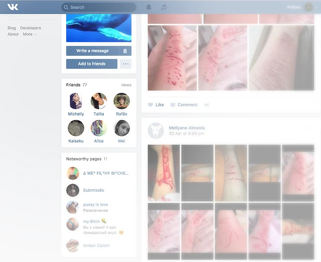 (WARNING: GRAPHIC CONTENT) The profile of a phoney ‘curator’, now reported to the platform, on VK.com. 
