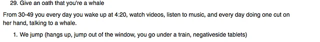 The basic list of tasks to be completed under the challenge. 