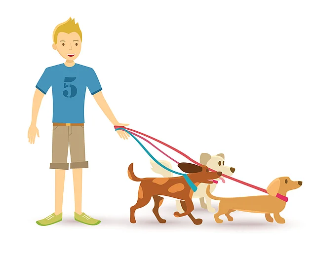 The factors that motivate dog walking are extremely complex, yet we know they can strongly motivate human health behaviour.