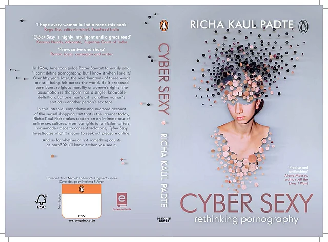 The <i>Cyber Sexy</i> book cover. 