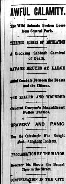 The headline for the <i>New York Herald</i> story. 