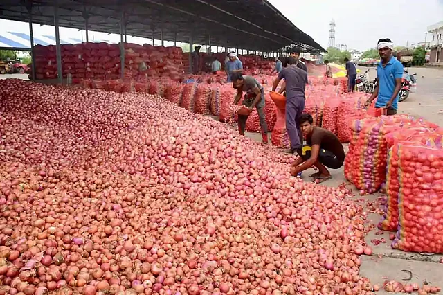 Onions pile up in MP’s Mandsaur agriculture market. They sold for a 1/5th of what it cost to grow them. 
