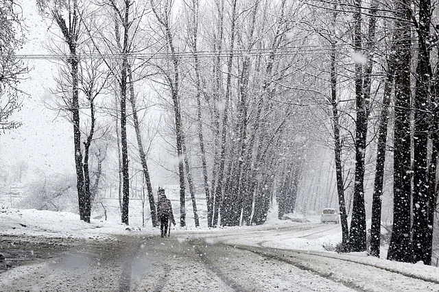 Higher reaches of Kashmir received fresh snowfall on Monday, 10 December, while some areas in plains received intermittent rains, forcing the closure of several vital road-links including the Srinagar-Leh National Highway.