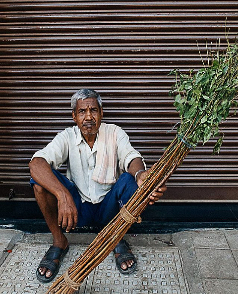 A <i>datoon-wallah </i>waits for customers to buy his teeth-cleaning Neem twigs 