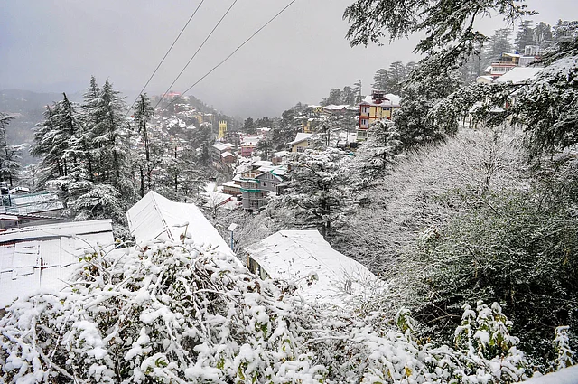 A view of the hill city of Shimla draped in fresh snowfall on 12 December, 2018. Snow frozen on the leaves of the trees and on the rooftops of the buildings especially located on the Ridge, Mall Road and Jakhu wore a pleasant look. Shimla has so far received 3.8 cm snowfall, the Meteorological department said.
