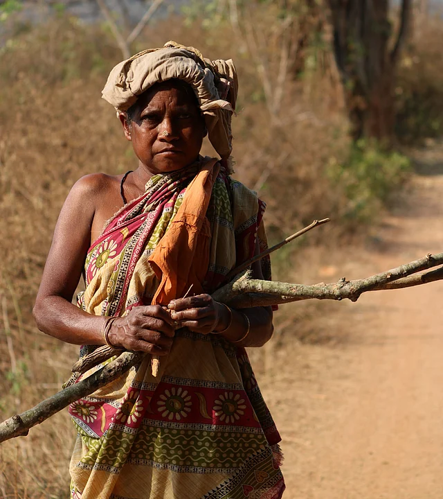 An elderly woman out to fetch firewood. 