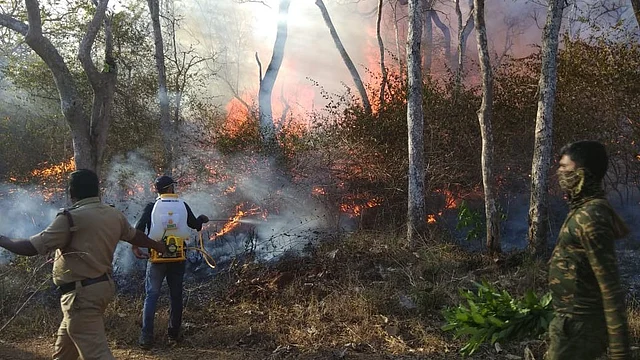 Volunteers and forest officers attempt to douse the flames at Bandipur Tiger Reserve.