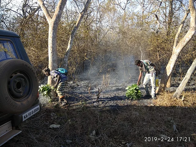 Volunteers use flat brooms to fight the flames, they were not given any equipment.