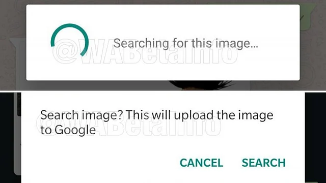 Image will be searched on the web.