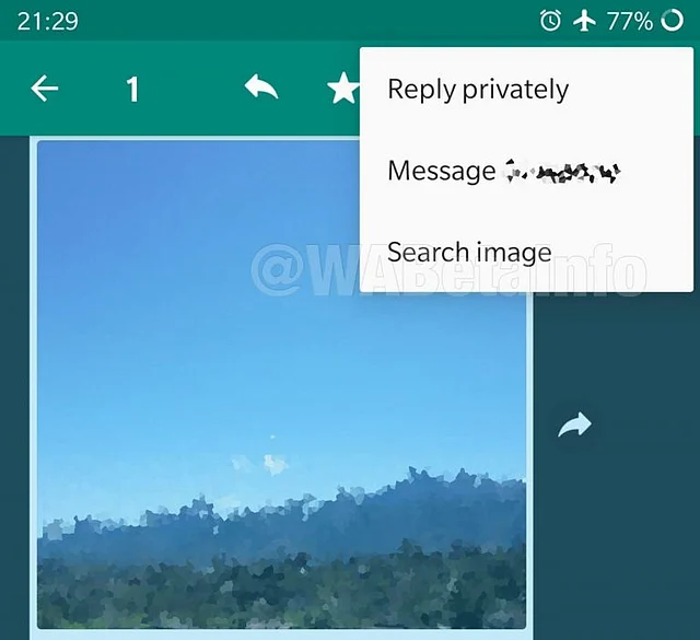 This is where the search image option will show up on WhatsApp.