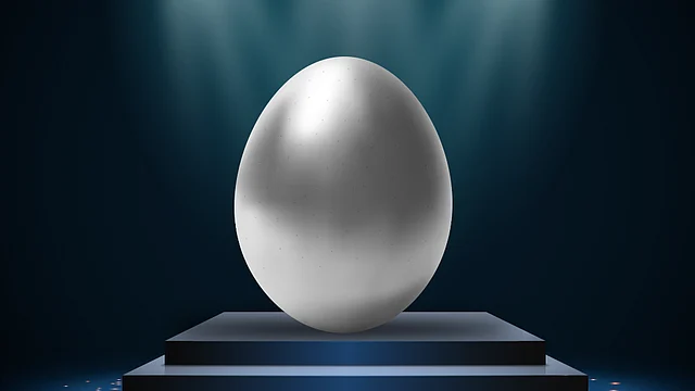 The Cosmic Egg!