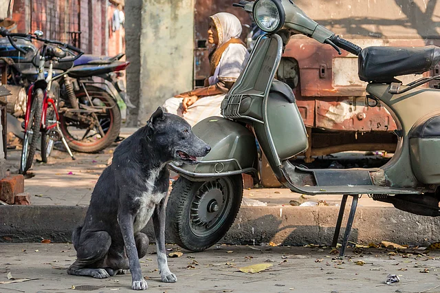 A still from Jesse’s film.