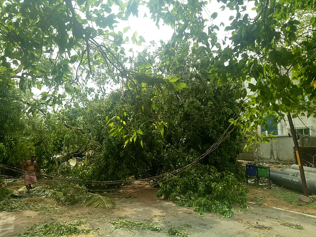 Cyclone Fani uprooted trees and causes huge damage to electricity supply infrastructure in Bhubaneswar. 