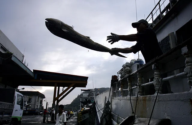 In this 21 June 2015, file photo, a fisherman unloads his catch in the port of Suao, north eastern Taiwan. 