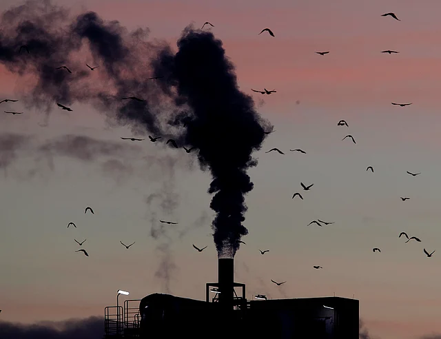 In this 4 December 2018, file photo, birds fly past a smoking chimney in Ludwigshafen, Germany. 