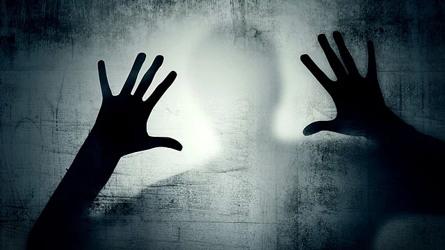 The accused brought the victim to her house and later forced her into prostitution.