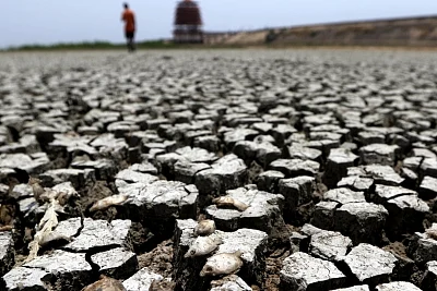 The Chennai city corporation is to set up ‘water body monitoring’ committees at the zonal level to monitor the water bodies under its purview.
