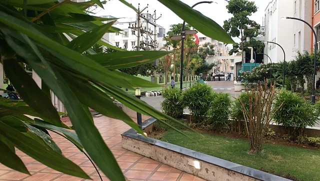 All the greenery you see is watered by recycled water, thus spending zilch on thousands of litres of freshwater every day.