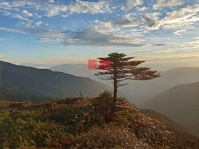Another view of the mountain near the crash site in Arunachal Pradesh.
