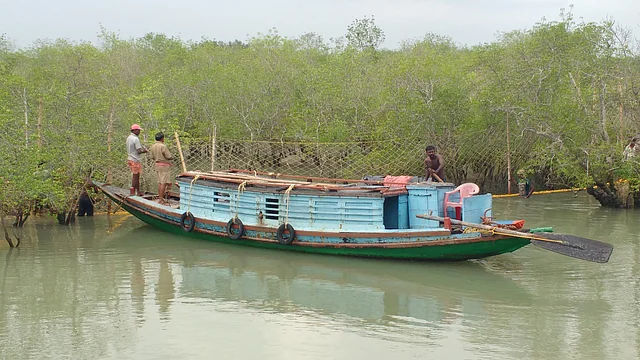 Honey collectors hunt searching for honeycombs in Sunderbans, West Bengal