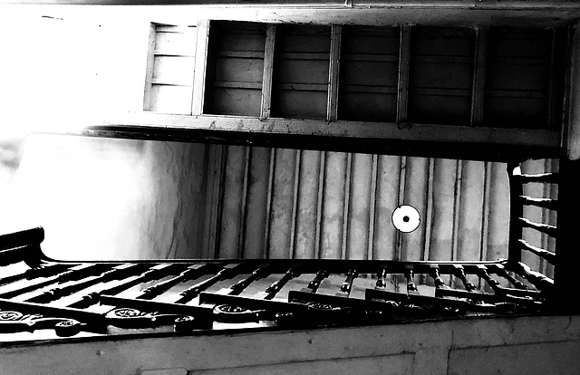 Staircase to the amphibian section in the museum. 