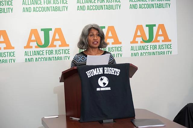 Sunita Viswanathan, Hindus for Human Rights