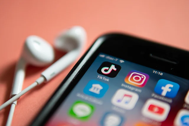 TikTok and its moderation team needs to improve its efforts.