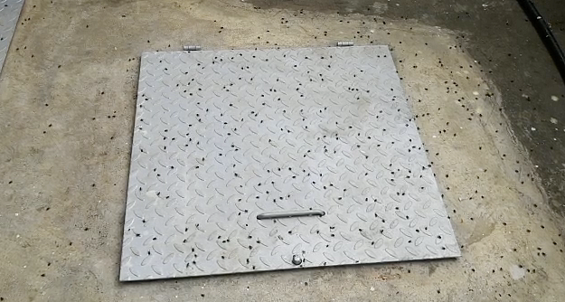 A photo shared by Janice shows flies in her compound.