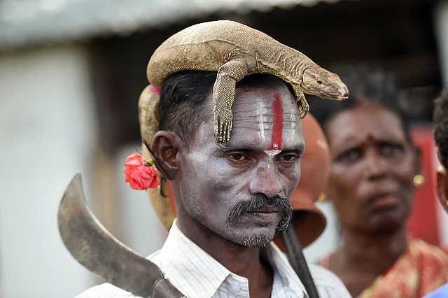 A tribal artist poses with Iguana as he performs at the Palangudi Natham, a tribal cultural festival in Chennai on Tuesday.