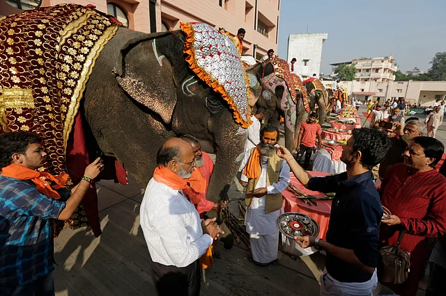 Indians worship elephants at Lord Jagannath temple in Ahmedabad, India on Tuesday.