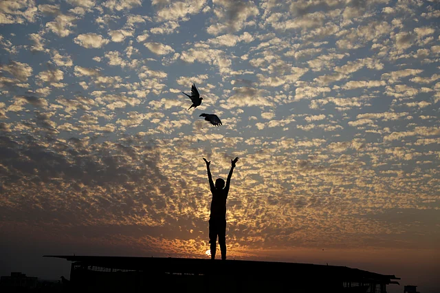 A boy releases pigeons from terrace of his house in Ahmedabad on Monday, 27 January.