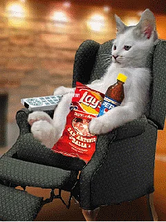 This post is not sponsored by Pepsi.