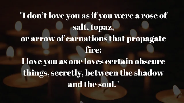 XVII (I do not love you...)