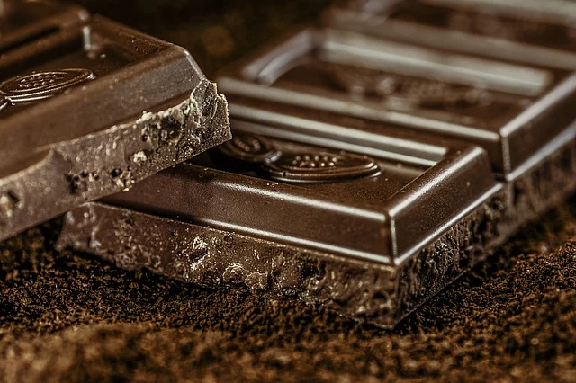 There is a wide variety of vegan chocolates out there that taste yummy!