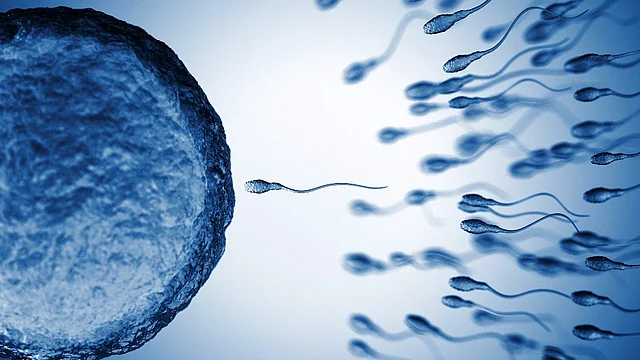 India has an epidemic of infertility today.