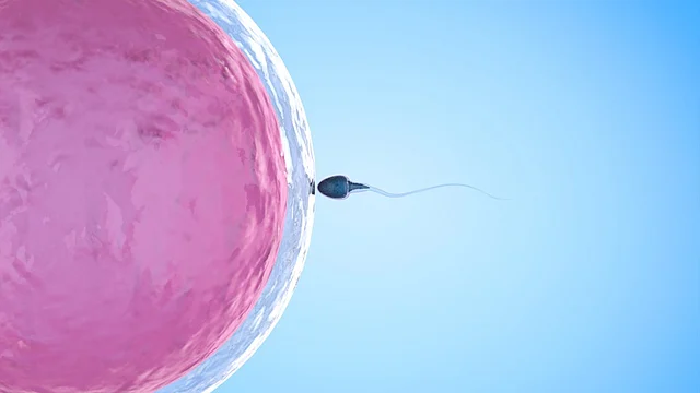 Surrogacy is a viable option for women cancer survivors.