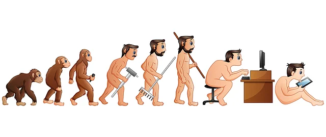 Human evolution cartoon.
