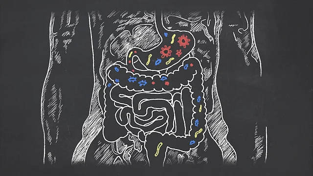 “Just protecting your gut will help your body a lot in a tropical climate.”