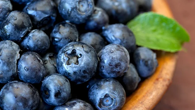 Blueberries and other citrus fruits are rich sources vitamin C.