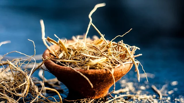 The root of the vetiver plant is used to make medicine.